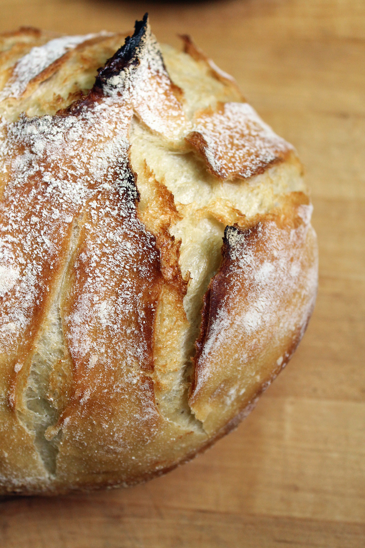 Bread baking in a Dutch oven via @kingarthurflour