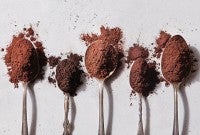 Spoonfuls of different cocoa powders lined up next to each other