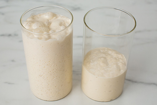 Sourdough Starter – Step 10