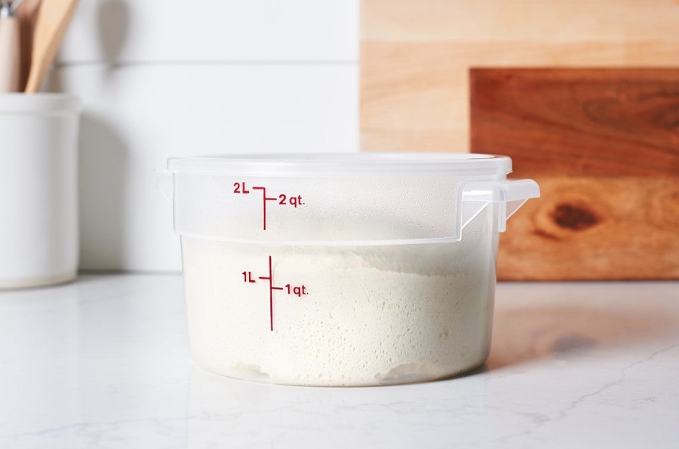 Bread dough rising in a dough proofing bucket